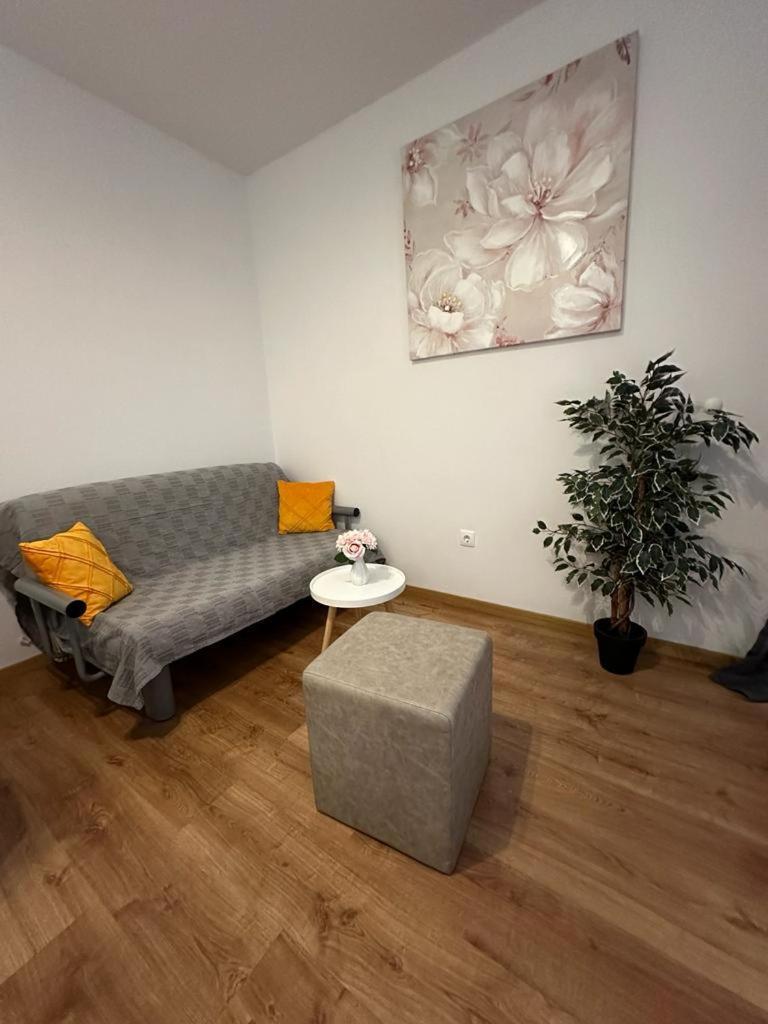 ברלה Apartmani Vice מראה חיצוני תמונה
